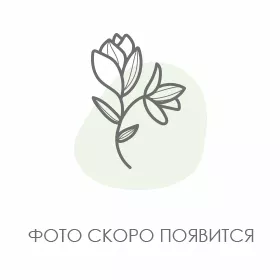 Карты JCB