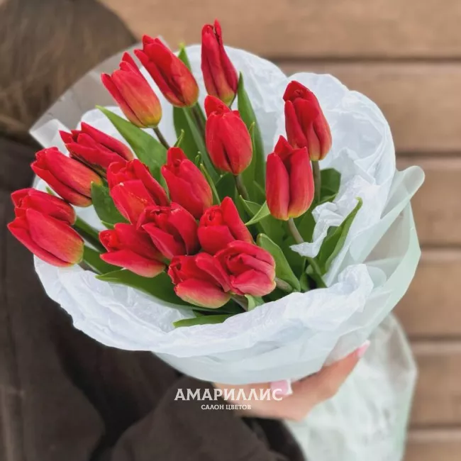 Тюльпаны красные 17 шт